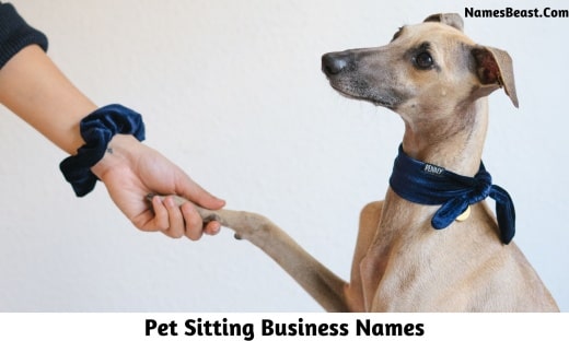 Pet Sitting Business Names
