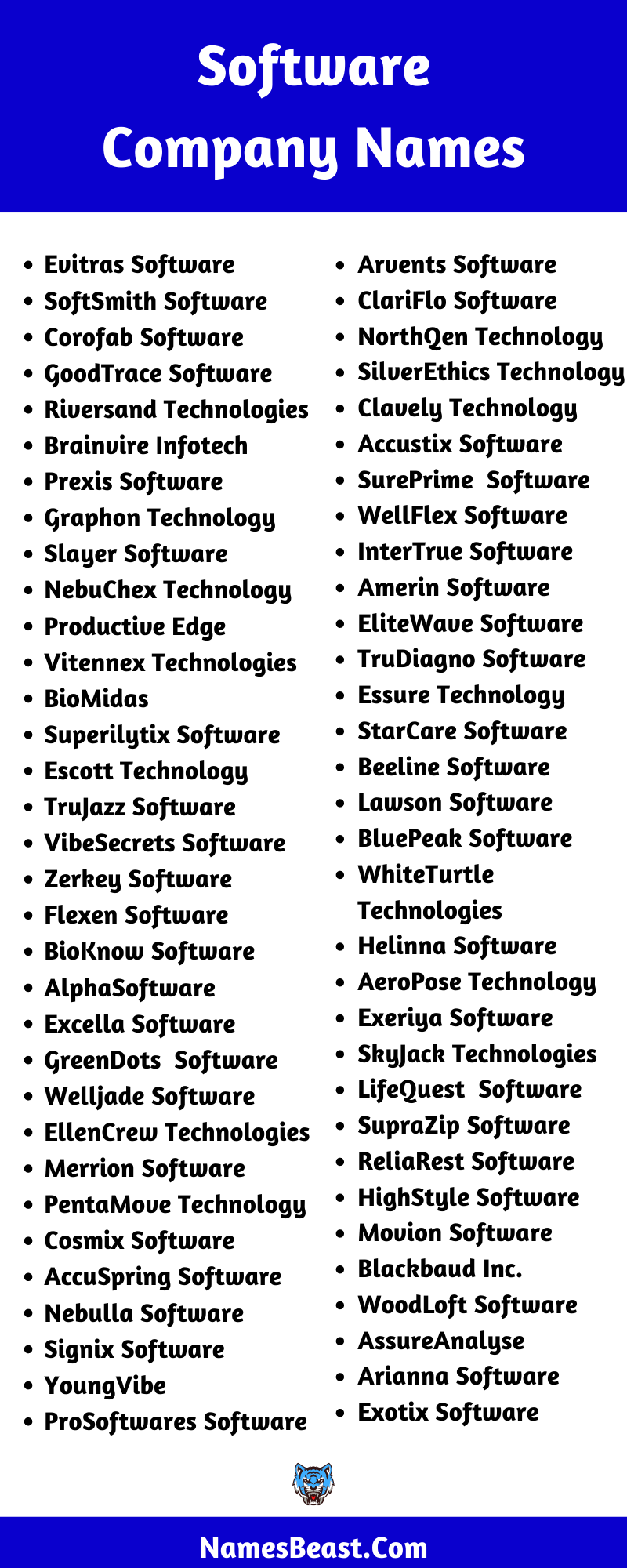 Software Company Name Ideas