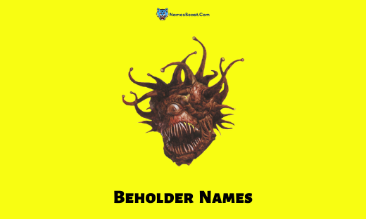 Beholder Names