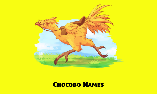 Chocobo Names