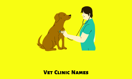 Vet Clinic Names