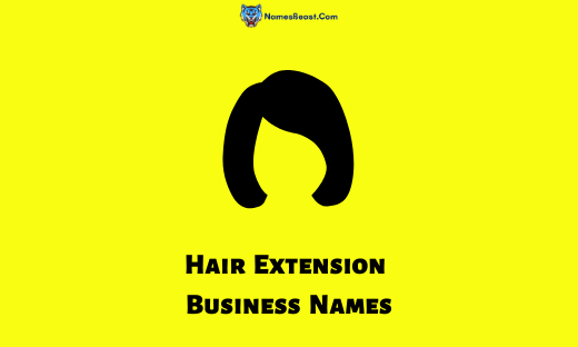 Hair Extension Business Names