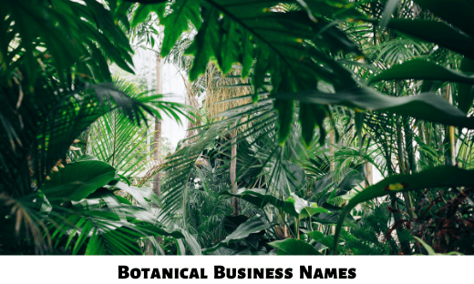 Botanical Business Names