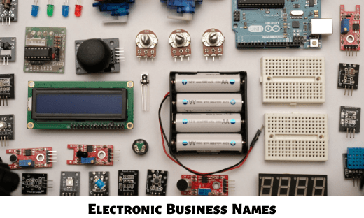 Electronic Business Names