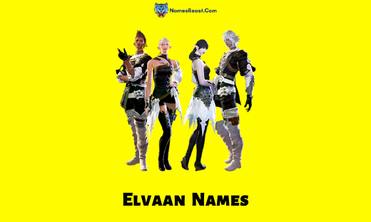 Elvaan Names