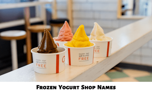 Frozen Yogurt Shop Names