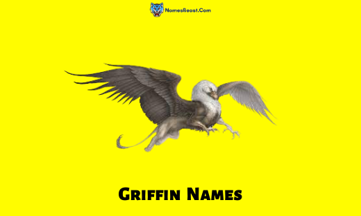 Griffin Names