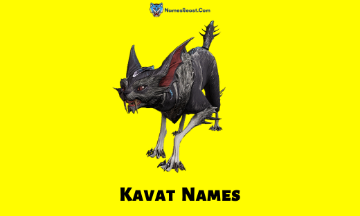Kavat Names