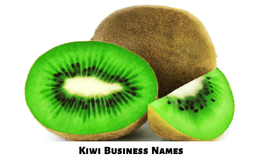 Kiwi Business Names