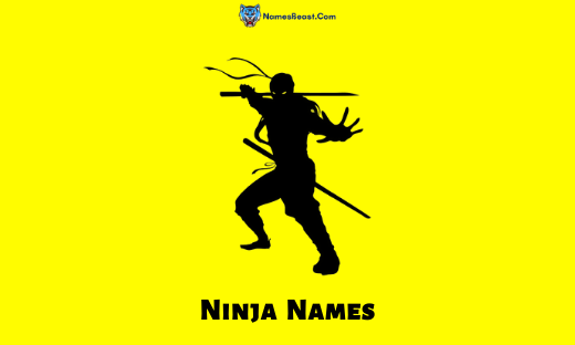 Ninja Names
