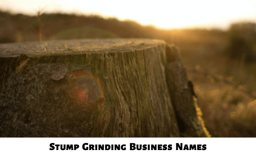 Stump Grinding Business Names