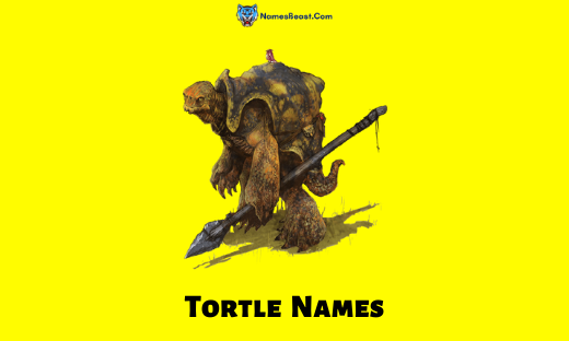 Tortle Names