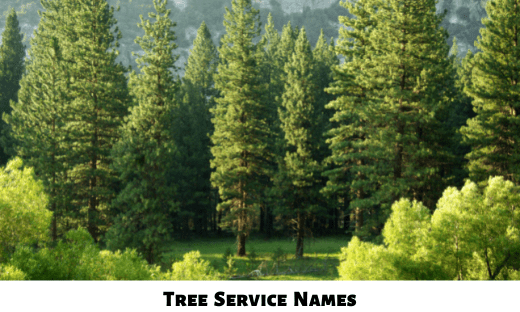 Tree Service Names