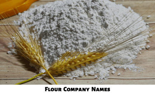 Flour Company Names