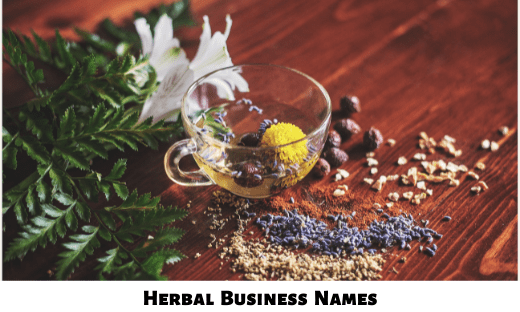 Herbal Business Names