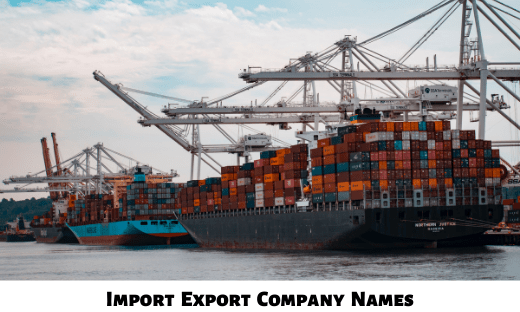 Import Export Company Names