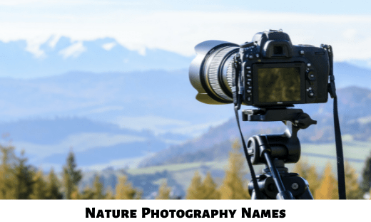 Nature Photography Names