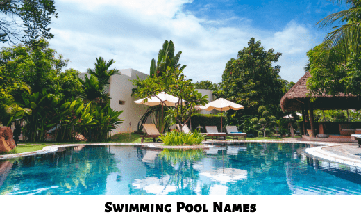 446 Swimming Pool Names Ideas and Suggestions