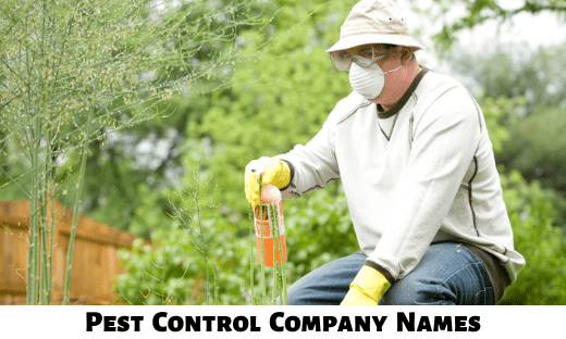 Pest Control Company Names