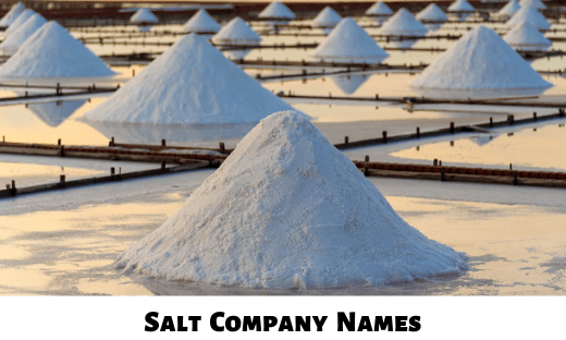 Salt Company Names