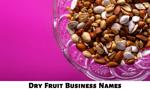 Dry Fruits Business Names