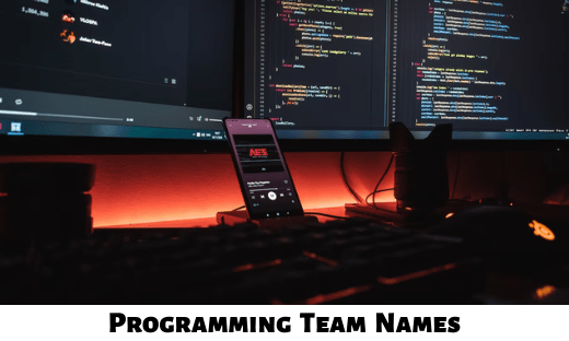 Programming Team Names