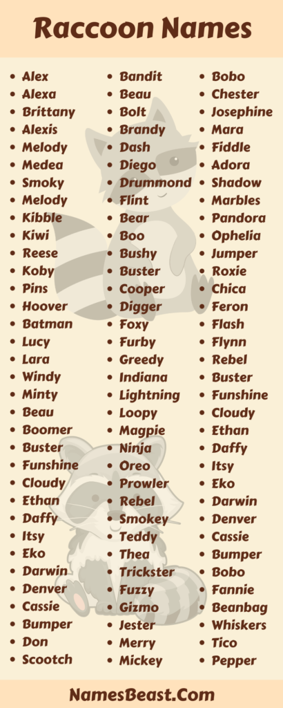 Funny Raccoon Names